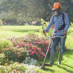 un homme qui débroussaille un buisson